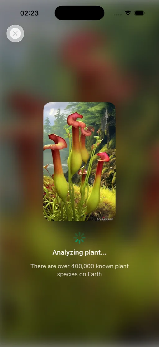 Leafora screenshot 3
